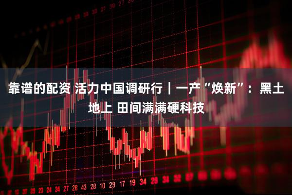 靠谱的配资 活力中国调研行｜一产“焕新”：黑土地上 田间满满硬科技